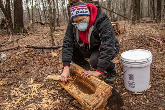 Indigenous Sustainability Studies, Minor