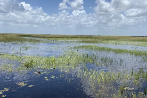 Enviromental Studies - Geohydrology, BS