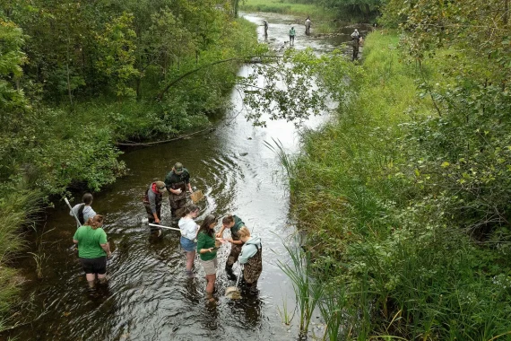 Aquatic Biology - Wetlands Ecology, BS