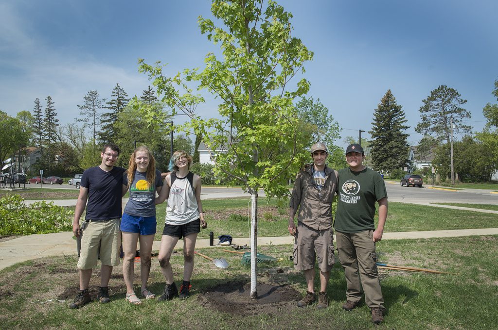 Students for the Environment Plant New Trees on Bemidji State Campus ...